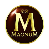 MAGNUM/梦龙