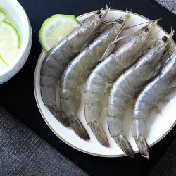 心安一味 盐冻厄瓜多尔白虾 1.65kg