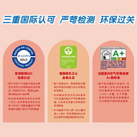 Dulux 多乐士 A8212+A931 五合一乳胶漆套装 15L