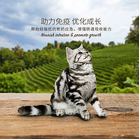 佩玛思特PetMaster宠物猫粮天然抗氧化保护系列三文鱼&鸡肉幼猫猫粮10kg 三文鱼鸡肉