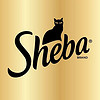 Sheba/希宝