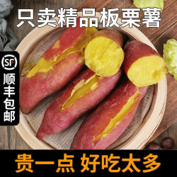 新鲜蜜薯农家板栗薯山东黄心地瓜糖心小番薯沙地红薯