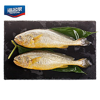 海名威 国产鲜冻黄花鱼（宁德大黄鱼）700g 2条 袋装 生鲜海鲜水产 鱼类 健康轻食