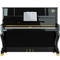 CAROD 卡罗德 全新演奏立式钢琴CJ3 123高度 黑色+签名款