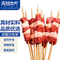 天牧牛方 原味牛肉烧烤串200g/袋(10串) BBQ东北烧烤食材