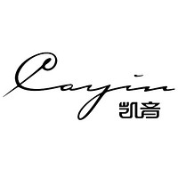 凯音 Cayin