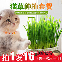 猫咪用品化毛草猫草种子水培猫薄荷营养土种植套装去除毛球猫零食
