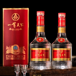 宜宾五粮液一尊天下52度浓香型白酒2瓶装