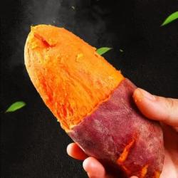 漳州沙地六鳌红薯大叶红香甜糯精品五斤装新鲜红心蜜薯地瓜(六鳌红薯