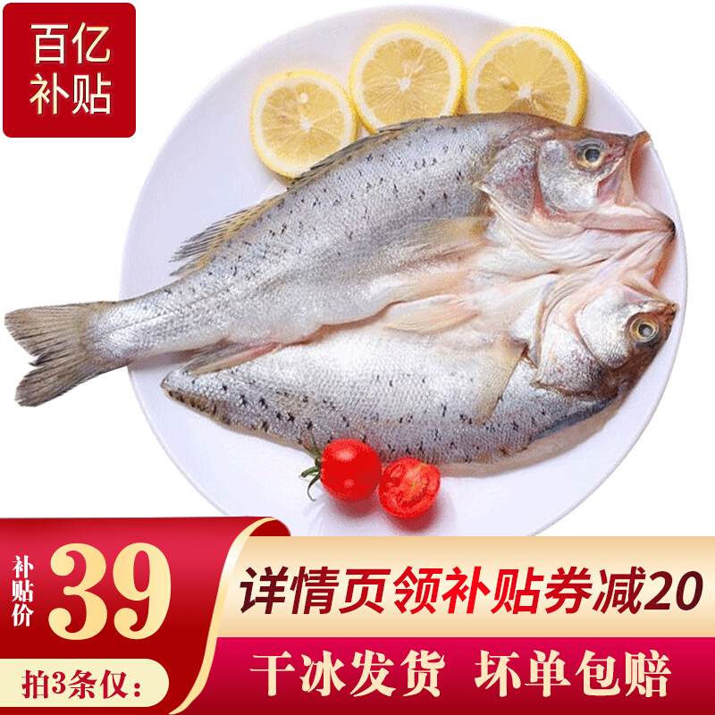 速鲜 三去开背国产白蕉海鲈鱼350-400g*1条新鲜活冻生鲜鱼类海鲜去鳃去鳞去内脏净鱼