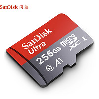 SanDisk 閃迪 存儲卡 256GB