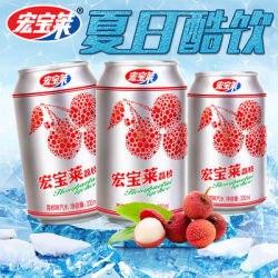 宏宝莱荔枝味碳酸饮料东北网红汽水330ml6