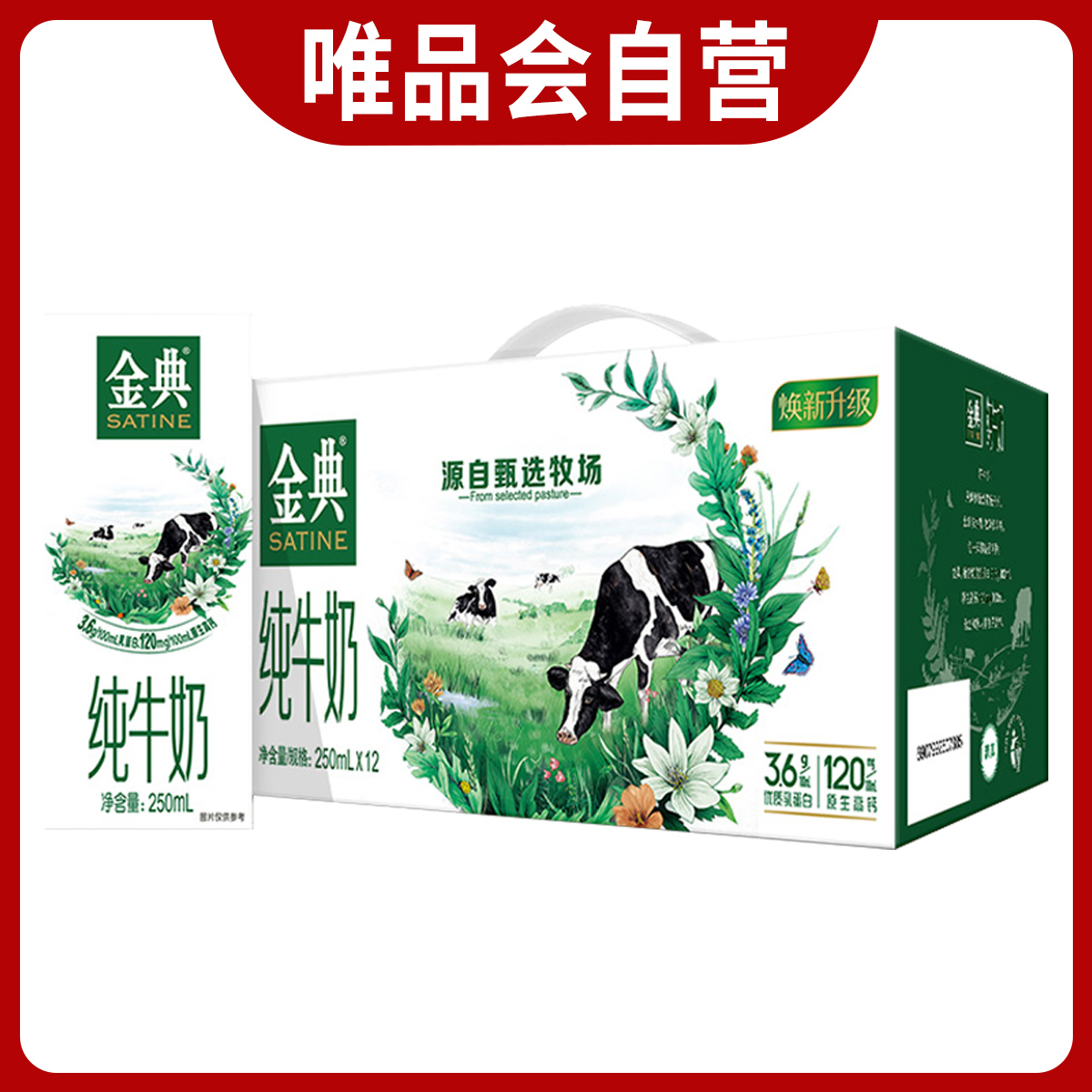 金典纯牛奶250ml*12盒营养早餐奶牛奶整箱