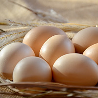 百年栗园 首农新鲜土鸡蛋60枚 柴鸡蛋个头小营养高 当日鲜蛋 原生态真脏蛋