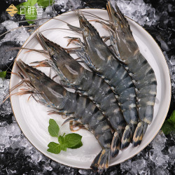 京东plus会员百鲜荟大号越南黑虎虾单只1416cm1416只600g