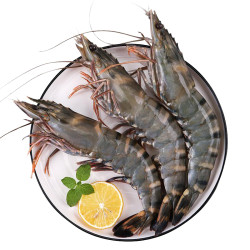 御食之鲜越南活冻黑虎虾大虾斑节虾火锅烧烤食材海鲜水产生冻约600g盒
