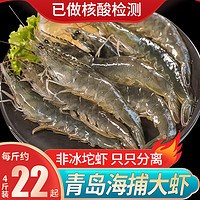 虾鲜活速冻特大超大基围虾冷冻4斤新鲜对虾海虾青岛大虾青虾盒装（2000g、16-18cm）