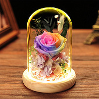 迪龙 自生草 创意七夕情人节礼物玫瑰永生花玻璃罩礼盒（真花） 适合送女友/爱人