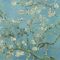 買買藝術 梵高《開花的巴旦杏樹》50x40cm 裝飾畫 油畫布
