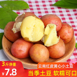 极速版:云南红皮小土豆 小果 5斤