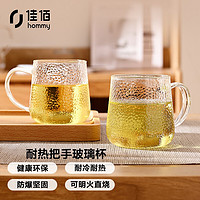 佳佰 玻璃杯2只套装家用喝水杯子果汁杯牛奶杯花茶杯防爆耐热加厚带把手锤纹水杯