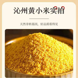 北方水城 沁州黄小米 2.5kg