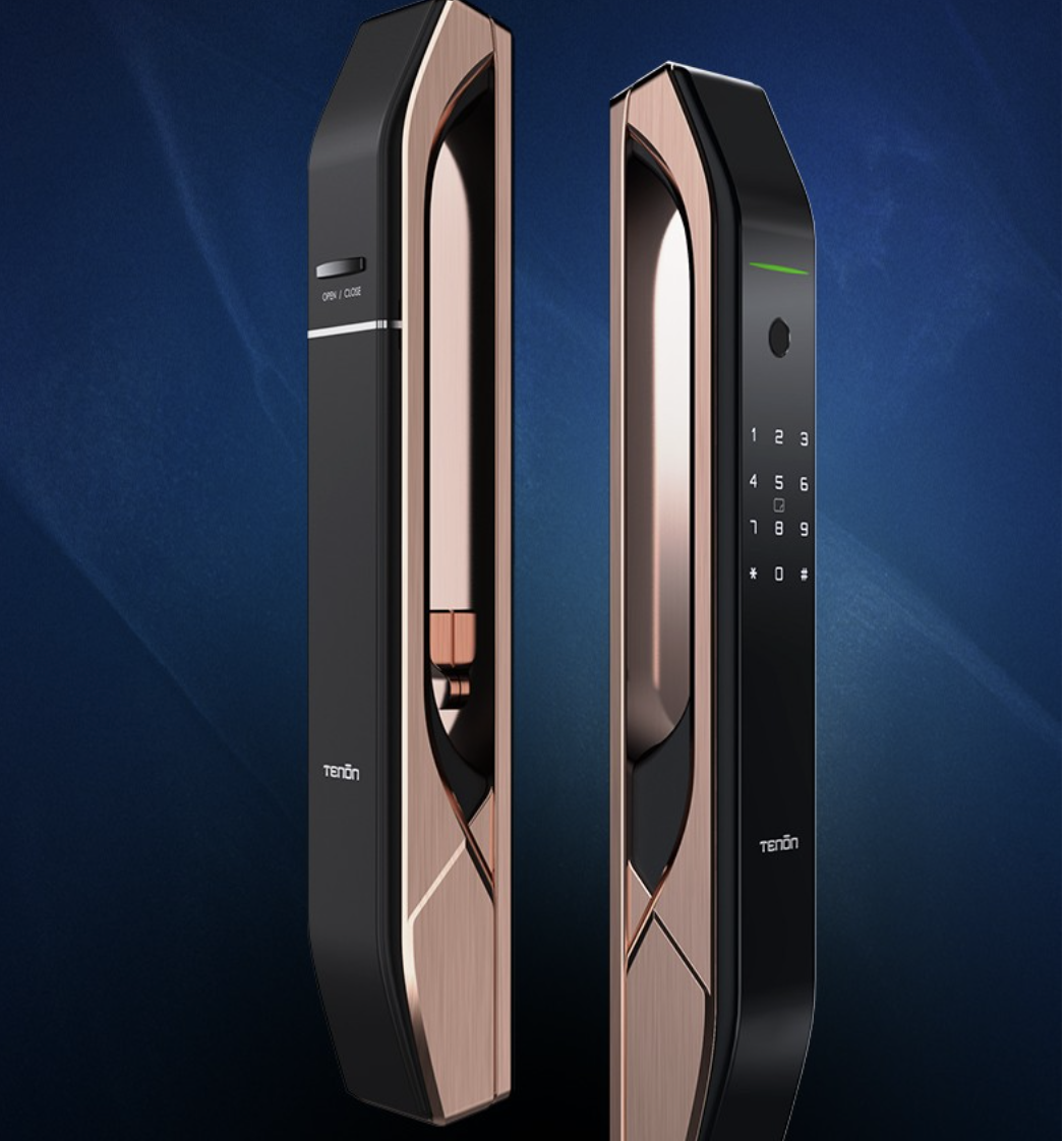 TENON/亚太天能 A6 3D人脸识别 智能锁 枪金黑