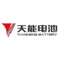 TIANNENG BATTERY/天能电池
