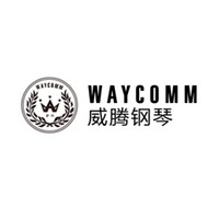WAYCOMM/威腾钢琴
