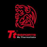 Tt eSPORTS