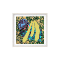 dprints迪品 现代轻奢客厅装饰画艺术限量版画卧室餐厅玄关装饰字画创意版画《香蕉》 白色木框 362*362 mm