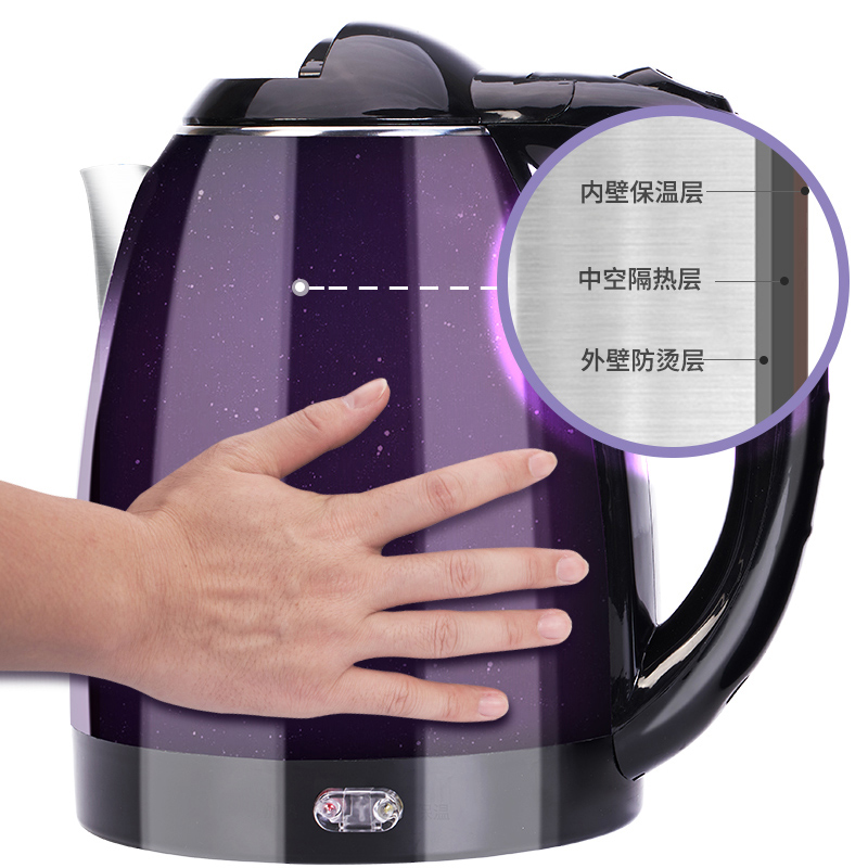 德力西电热水壶家用304不锈钢紫色恒温电热烧水壶自动断电开水壶（星空紫恒温款）