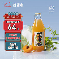 望山楂 望杏福 果味汽泡水300ml*6瓶