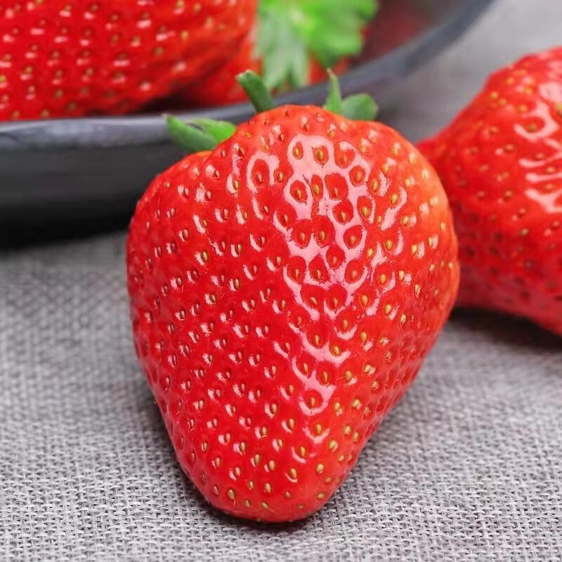丹东99红颜奶油草莓3斤 新鲜水果  空运直达女生礼物 现摘牛奶油草莓 中大果三斤装