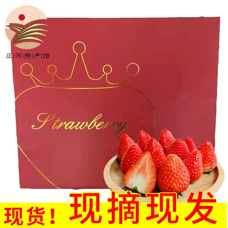 丹东99草莓3斤新鲜水果 现摘九九红颜牛奶油草莓空运直达年货礼盒 3斤暖心装 草莓-3斤黑金礼盒