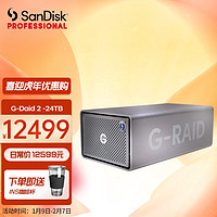闪迪大师移动机械硬盘雷电3\/Type-C\/HDMI多接口G-RAID磁盘阵列 双盘位硬盘G-RAID 2 -24T
