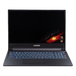 百亿补贴hasee神舟战神z8ta7ns156英寸游戏笔记本电脑i711800h16gb512