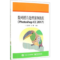 数码照片处理案例教程(Photoshop CC2017)