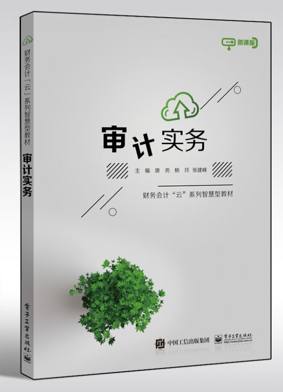 审计实务(微课版财务会计云系列智慧型教材)