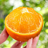 四川柑橘新鲜水果 青见柑橘4.5-5斤装（果径65mm起） 青见柑橘4.5-5斤装（果径75mm起）
