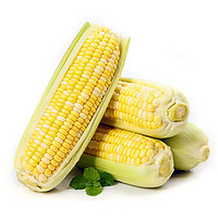 云南即食水果玉米 5斤 約5-9根 新鮮蔬菜 健康輕食