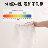 Lam Pure 藍漂 廚房濕巾強力去油去污家用油煙機專用濕巾廚房濕紙巾40片2包