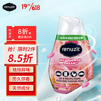 renuzit 空气清新剂 198g 花漾绽放