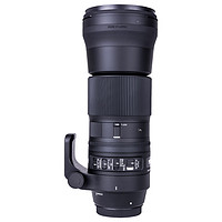 SIGMA 适马 150-600mm F5-6.3 DG OS HSM (尼康卡口)镜头95mm C版 送UV镜片 年终特惠