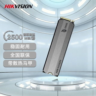 海康威视 SSD固态硬盘 E2000Lite 1T（保10年）