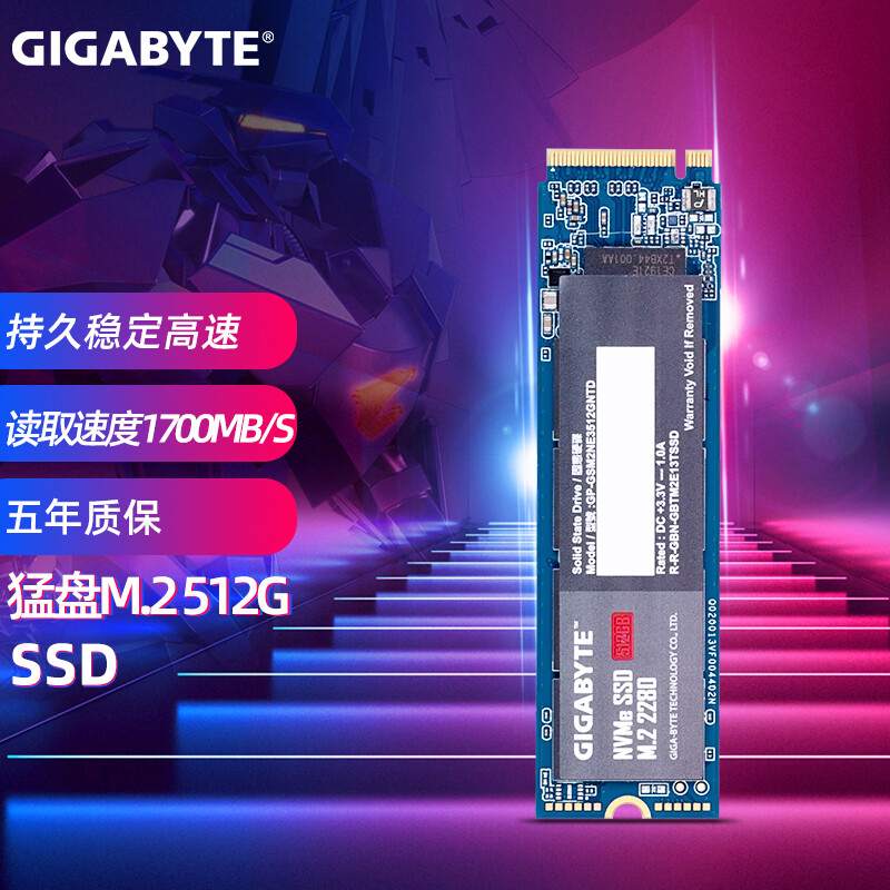 技嘉（GIGABYTE） SSD固态硬盘 M.2接口(NVMe协议)高速台式机电脑笔记本固态硬盘 性价比猛盘 512G