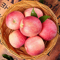 BINGO 缤果 果缤皇壶口高山苹果 红富士 时令水果生鲜 脆甜苹果5.5斤/箱（6头）