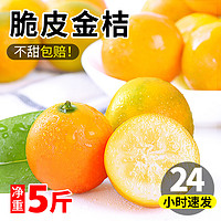广西融安脆皮小金桔新鲜水果时令整箱包邮应当季金橘脆甜9柑橘子