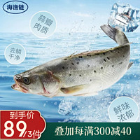白蕉海鲈鱼净重430-480g/条 三去白蕉鲈鱼生鲜