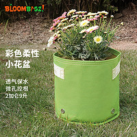 Bloombagz 透氣控根軟花盆 彩色雙層種植袋 廣交會CF獎 大號庭院陽臺花卉綠植生長袋 2加侖（果綠）